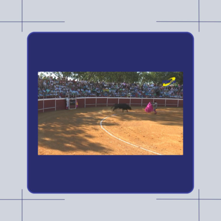 Toros Cañada 2015